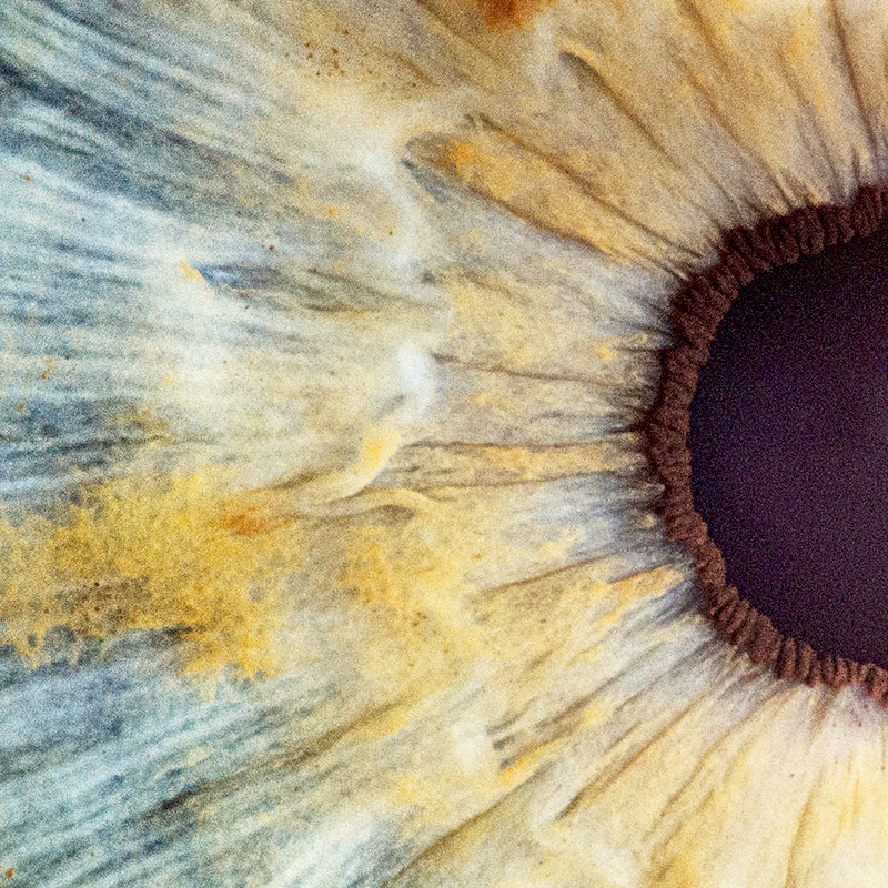 Ik bied kinesiologie, SIVAS Polsdiagnostiek, Ben geschoold in Energetische natuurgeneeskunde, energetische therapie, familie-opstellingen, psychologie, psychopathologie en medische kennis volgens Plato-normering.